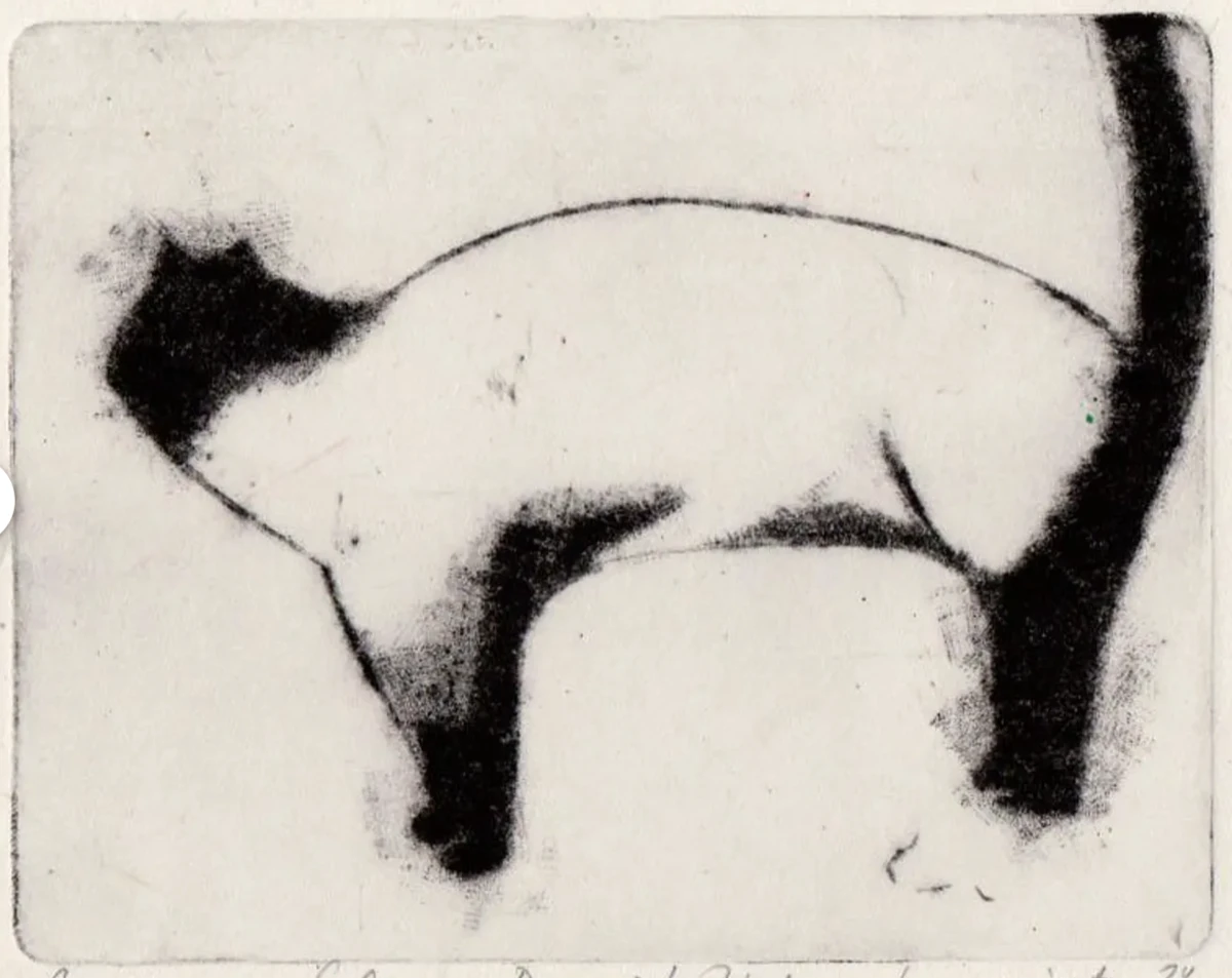 chat
