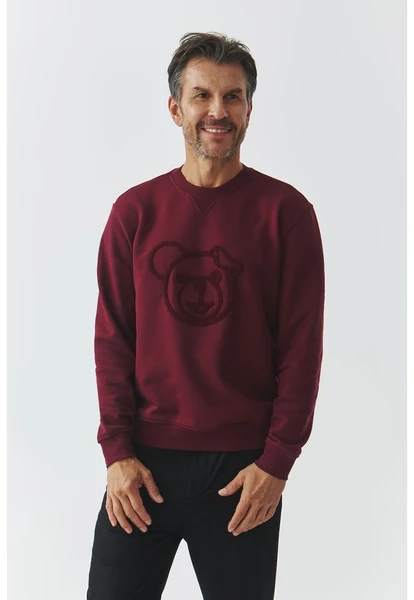 TATUUM STEEVE - Sweatshirt - dark red/rouge foncé - ZALANDO.CH