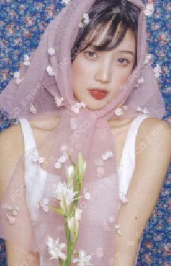 Pocamarket, Red Velvet JOY ReVeluv-BabyParty 2019 CARD HOLDER K-pop Photocard