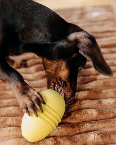 Jouet à garnir pour chien - Jouet d'occupation