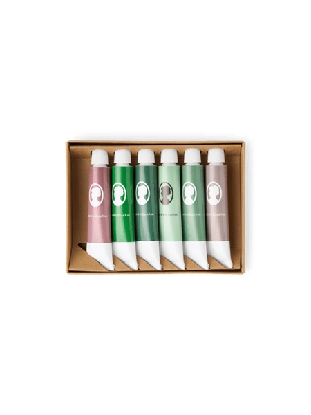 Set de peinture acrylique