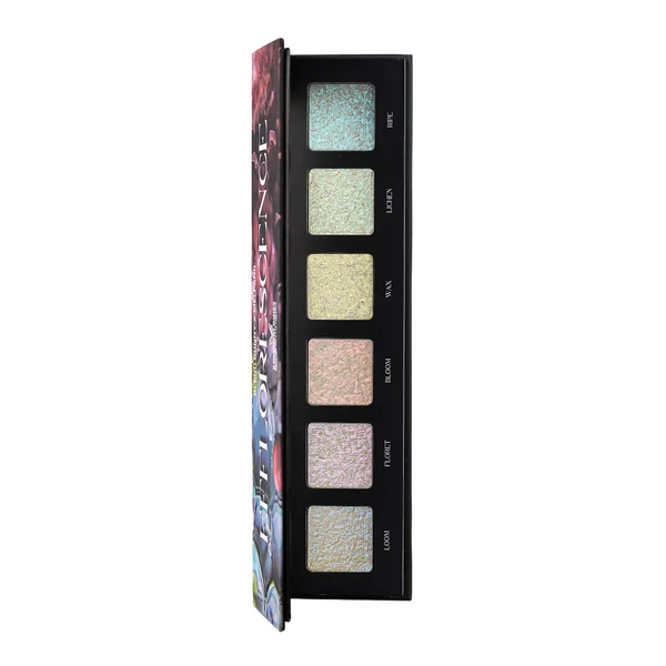 MEI PANG X Blend Bunny Efflorescence Palette