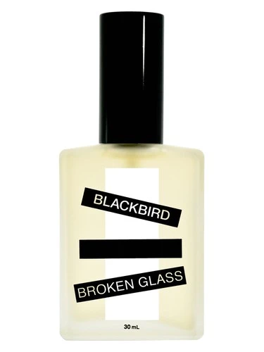 Broken Glass Blackbirdpour homme et femme
