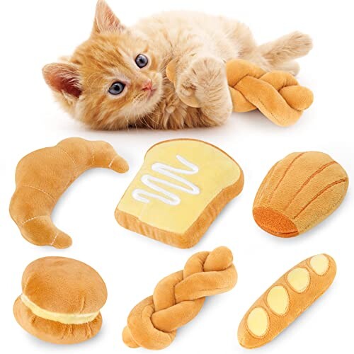 Jouets pour Chat 