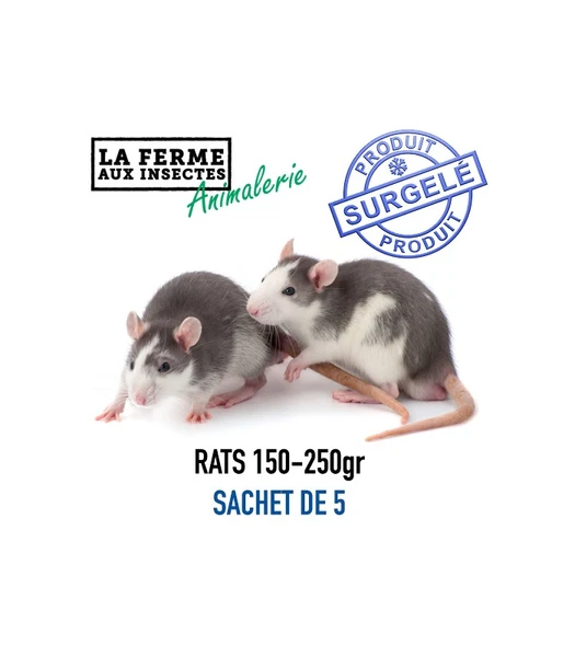 RATS 150-250 gr SACHET DE 5