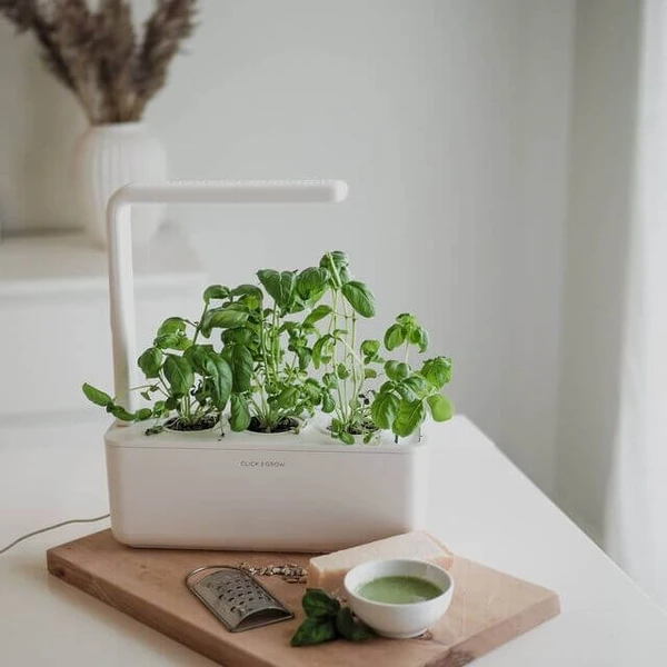 Click & Grow Gift Card