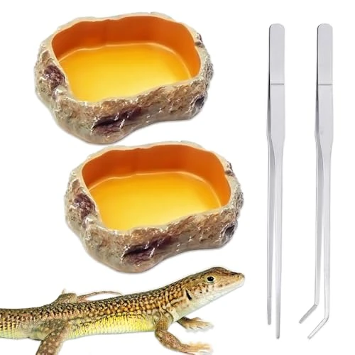 Lot de 4 Reptile Growth, Gamelle Reptile Accessoire Terrarium,Bol en Résine de Reptile,Bol de Nourriture pour Reptiles,Acier Inoxydable Brucelles pour Animaux de Compagnie Serpent Tortue lézard
