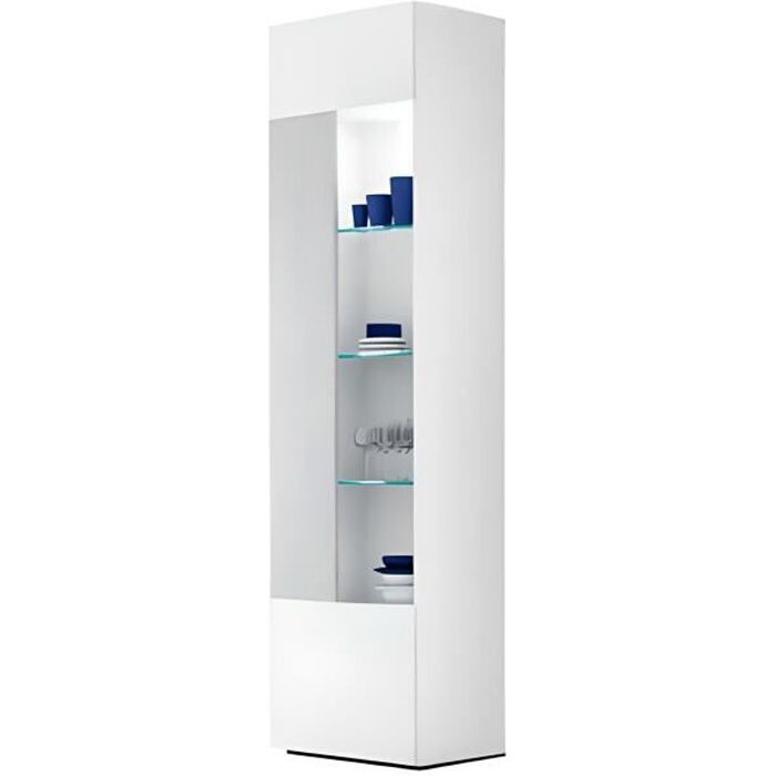 Vitrine avec 1 porte + 4 niches avec éclairage LED