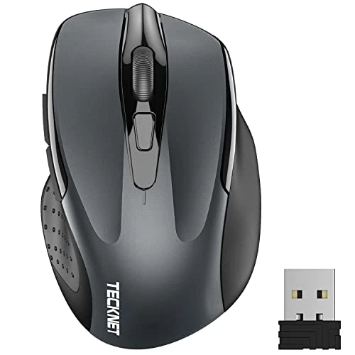 TECKNET Souris sans Fil, 2.4G Souris Optique avec 2600 DPI, Souris Ergonomique pour Ordinateur Portable, PC avec Récepteur USB, Gris
