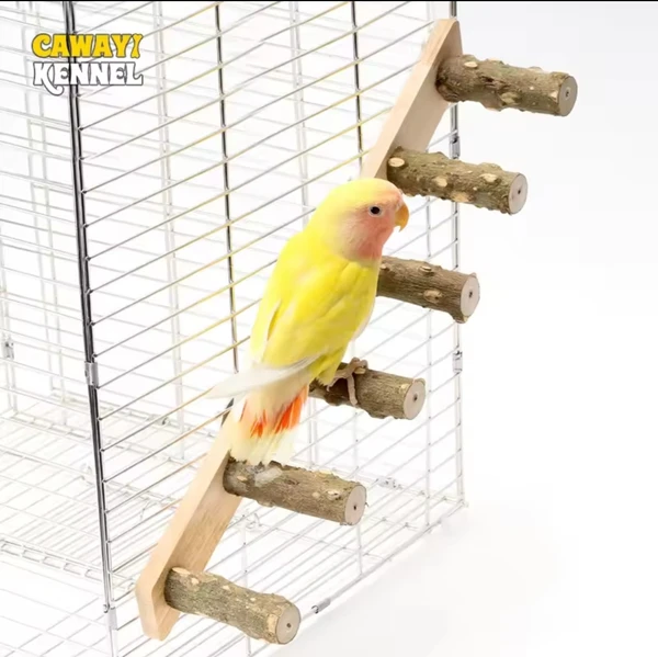 Échelle en bois pour perroquet et hamster, jouet coule pour animaux de compagnie, anciers de meulage amusant, accessoires d'escalade pour oiseaux, 4/6 marches - AliExpress 15