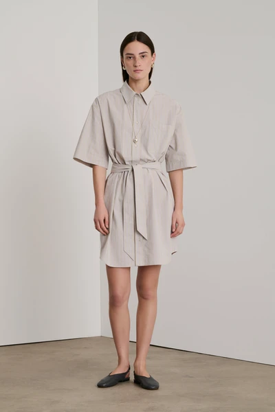 ROBE DAHLIA GRISE