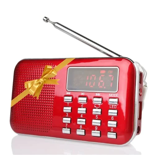 Raddy RF23 Radio Portable Rechargeable FM/AM USB Micro-SD et Lecteur Mp3 intégré (Rouge)