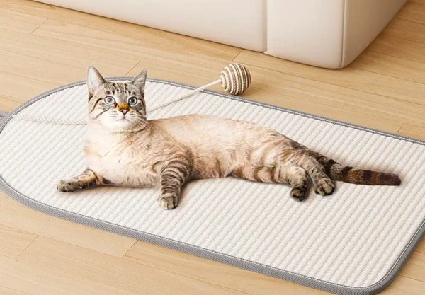 Griffoir en sisal