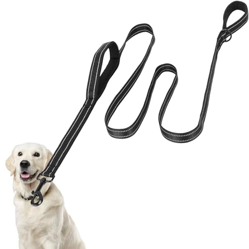 Euqvunn Laisse Chien 2m avec Double poignées rembourrées | Coutures réfléchissantes | Corde en Nylon pour Grands et Moyens Chiens | Longe pour Chien de contrôle et de Dressage | Noir