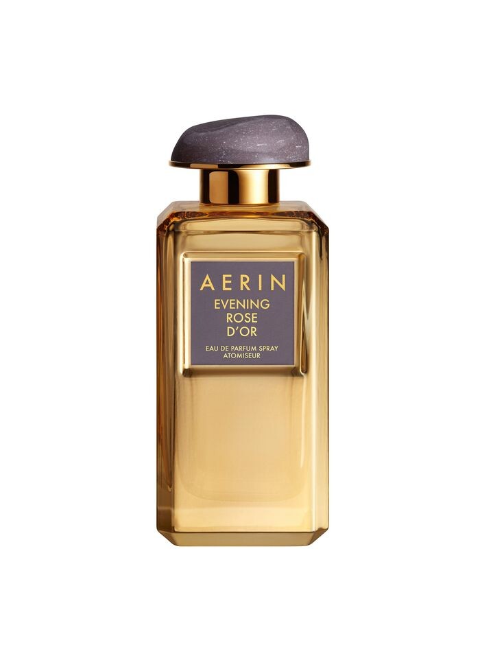 Evening Rose D'Or