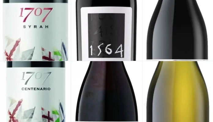 Vinos y Cavas en Valencia
