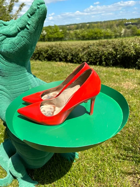 Escarpins Karen Millen