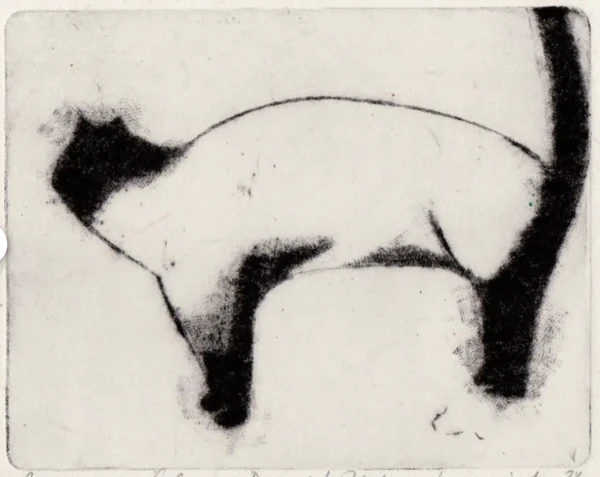 chat