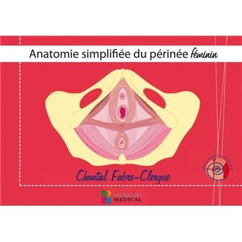 Anatomie simplifiee du perinee feminin