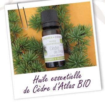 huile essentielle cedre
