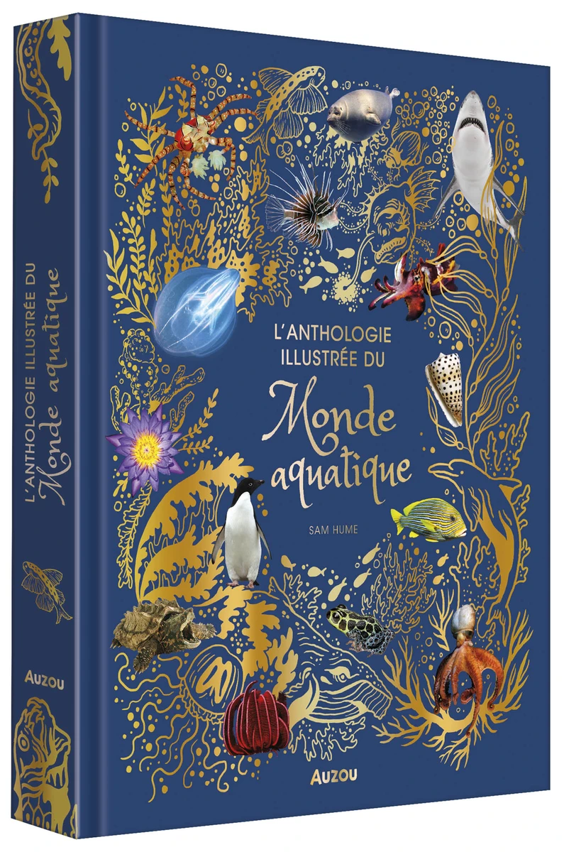 L'anthologie illustrée du monde aquatique - Livres enfants - Auzou