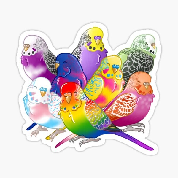 Groupe de perruches de la fierté | Sticker