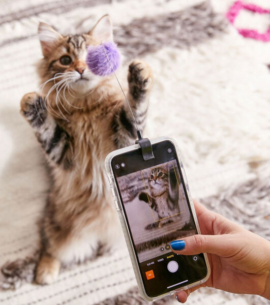 Clip pour selfie de chat