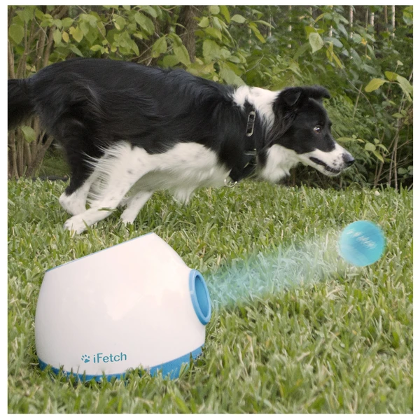 iFetch Too Lanceur de balle