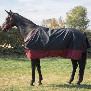 Ride & Rug Couverture de paddock Daphne (Noir/Bordeaux) | privatesport