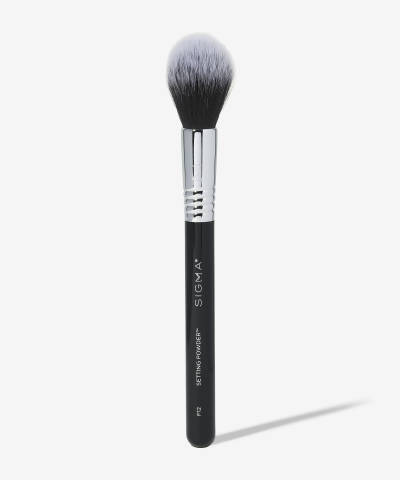 Setting Powder brush
