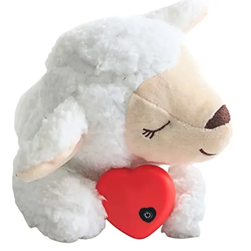 Jouet pour chaton avec battement de cœur