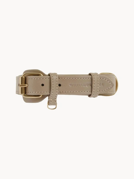 Collier pour chien Plain