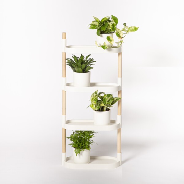 Étagère pour plantes