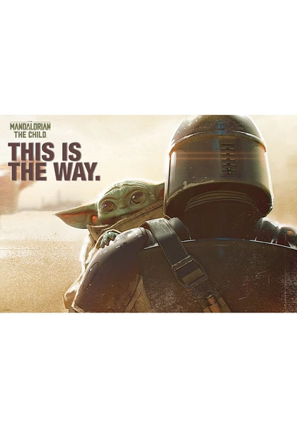 The Mandalorian - Mando & The Child Maxi - Poster