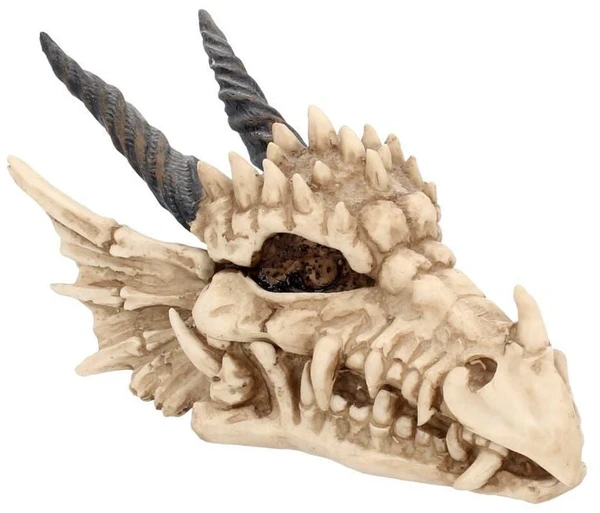 Boîte Dragon Skull