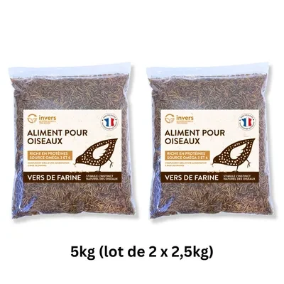 Vers de farine déshydratés - Invers ✓ pas cher
