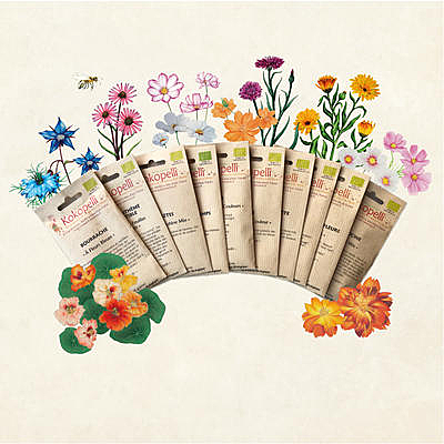 Fleurs Comestibles - semences paysannes