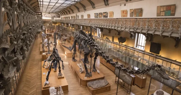 Galerie de Paléontologie et d’Anatomie comparée
