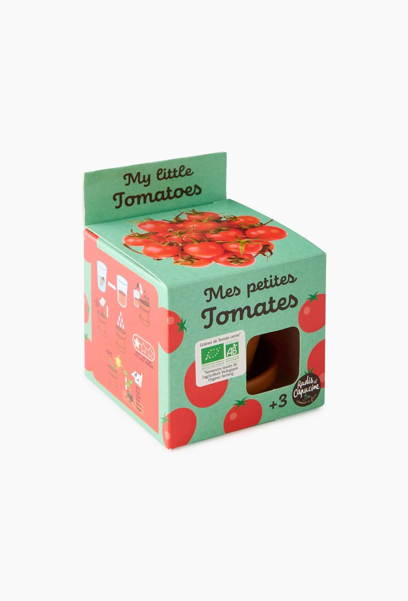 Pot tomate cerise avec coupelle, 8cm, en terre cuite,10*8*8 cm