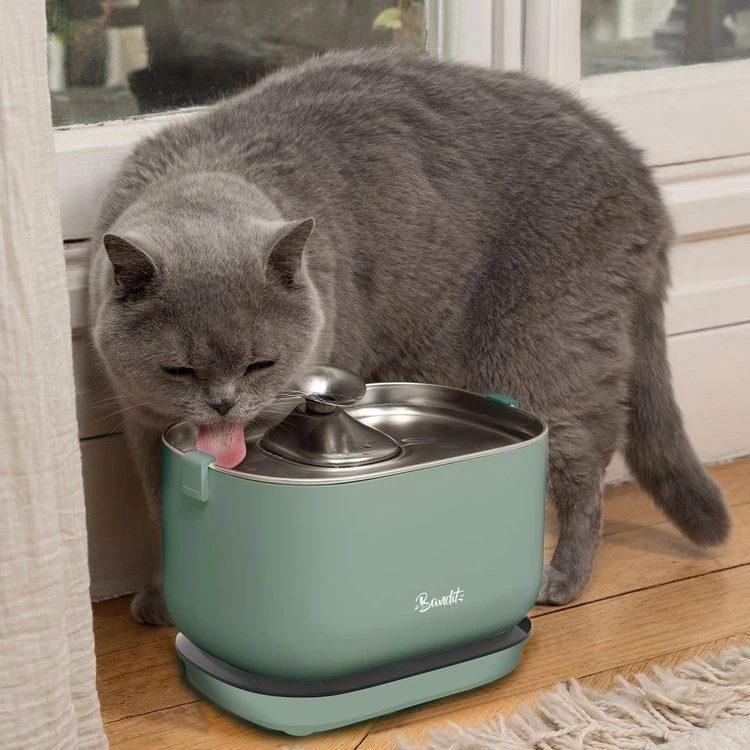 Fontaine à Eau Sans Fil pour Chat - Verte