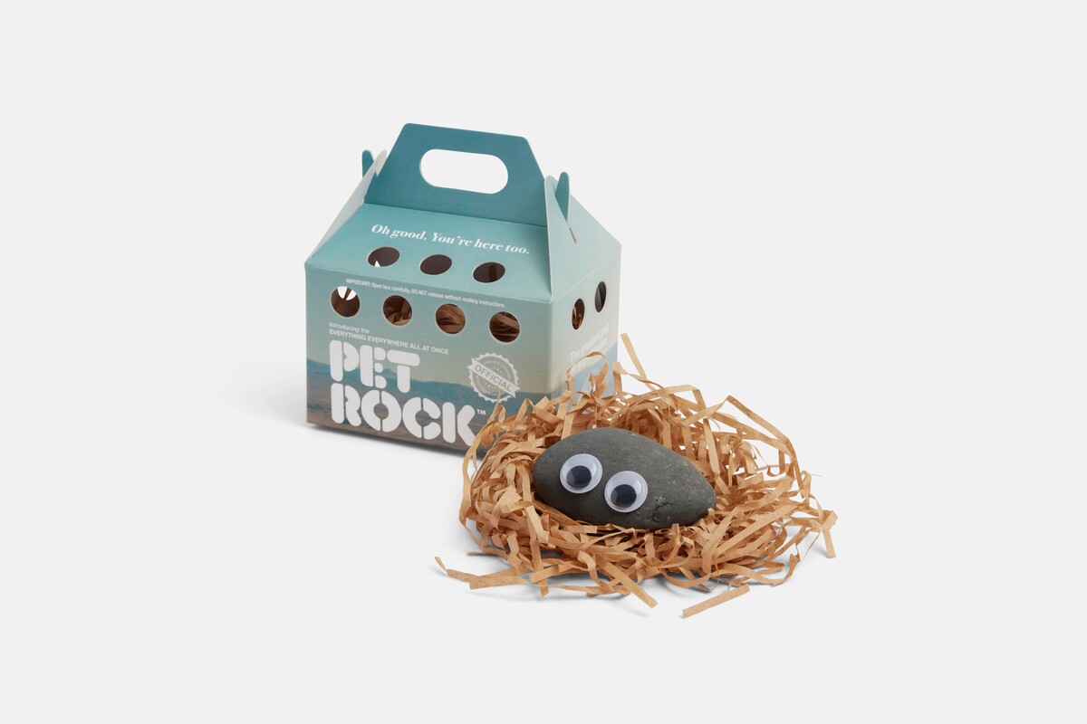 Everything Everywhere Pet Rock™