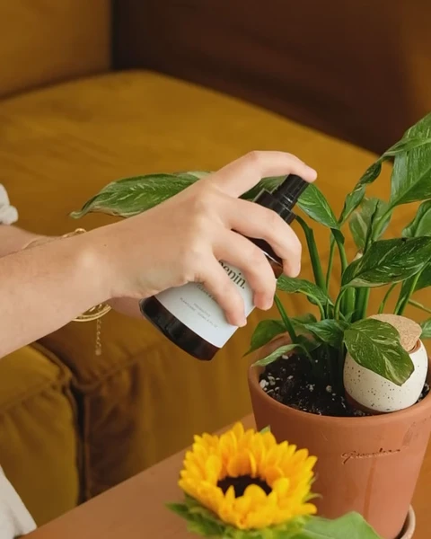 Toner - Spray protecteur