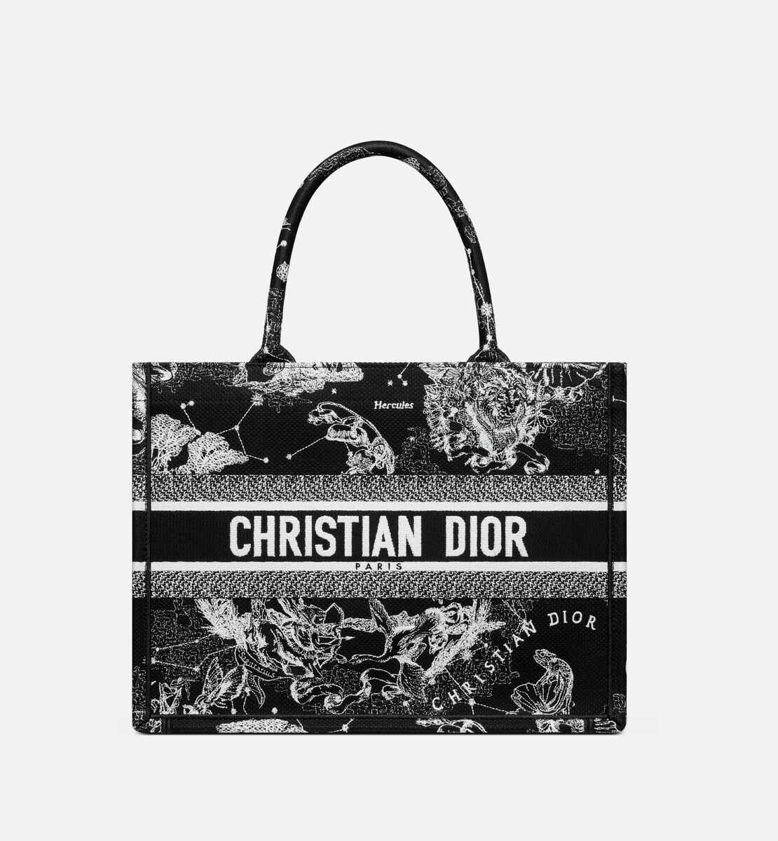 Sac Dior Book Tote Medium