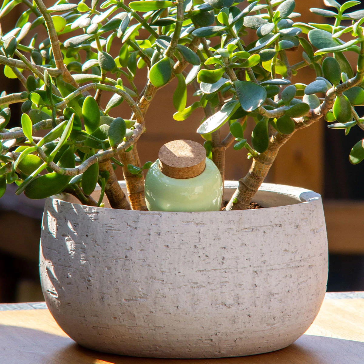 Réservoir d’eau naturel - Les Raffineurs