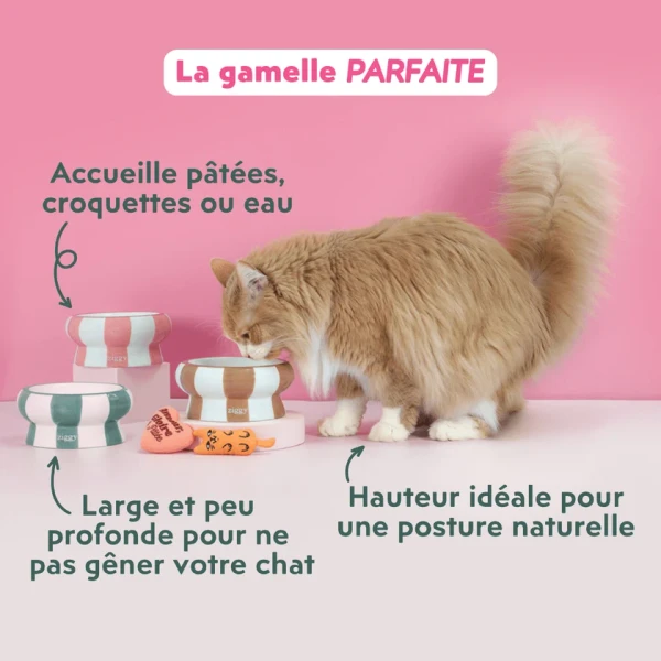 Gamelle pour chat - Cool Cat Club