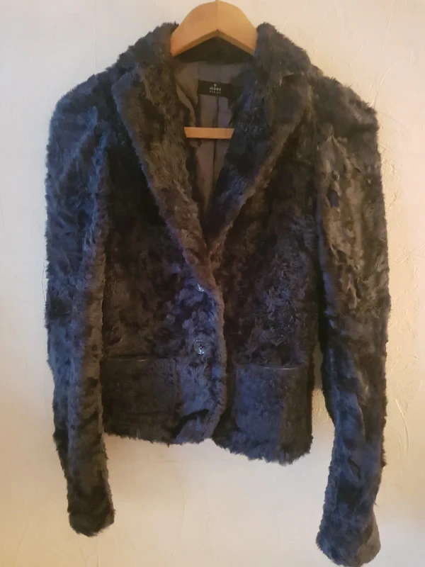 Veste fourure Icône design