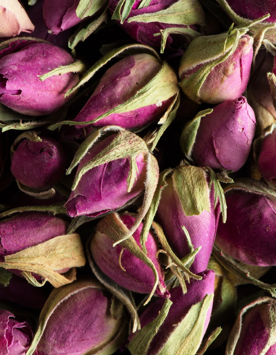 Tisane - Boutons de roses