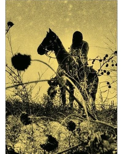 Simon Vansteenwinckel Aux Ombres /franCais