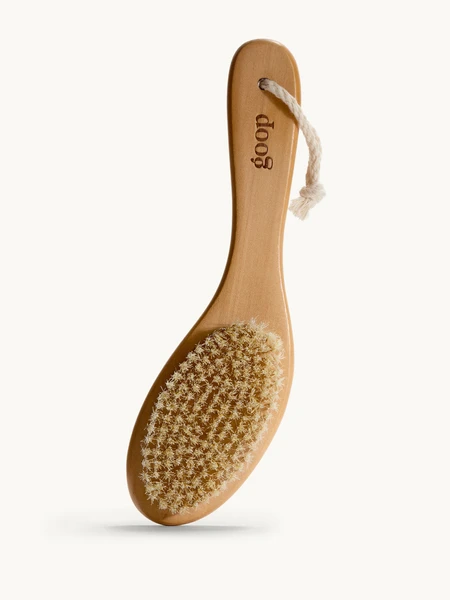 goop beauty | ultimate dry brush