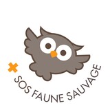 SOS Faune Sauvage